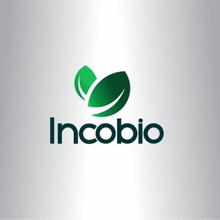 Pellet Incobio 15 Kg – 100% Legno di Abete e Pino ENplus A1 bancale da 84 Sacchi